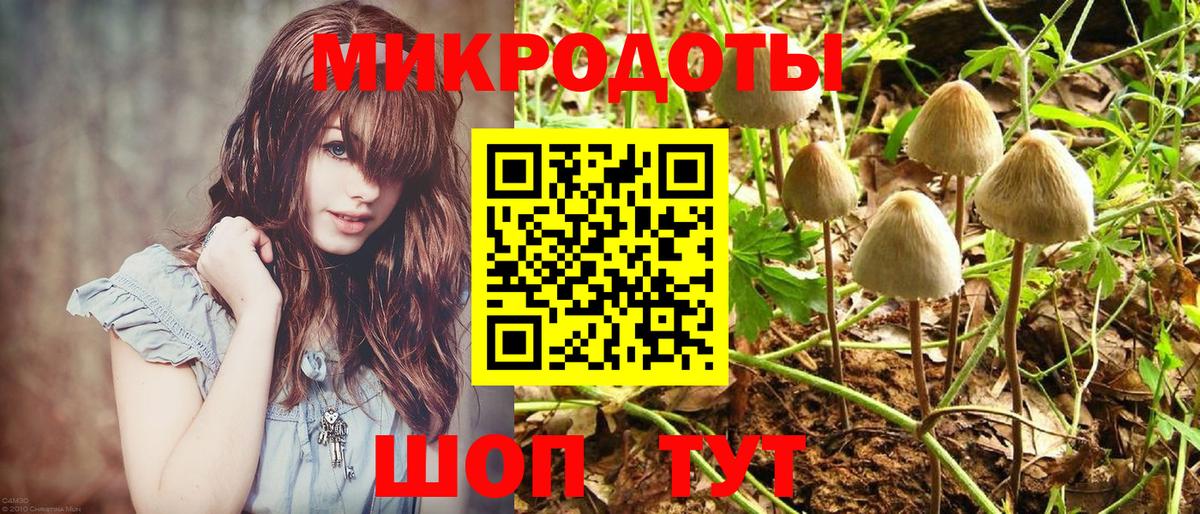 Псилоцибиновые грибы Cubensis  Вход с VPN  Фрязино 